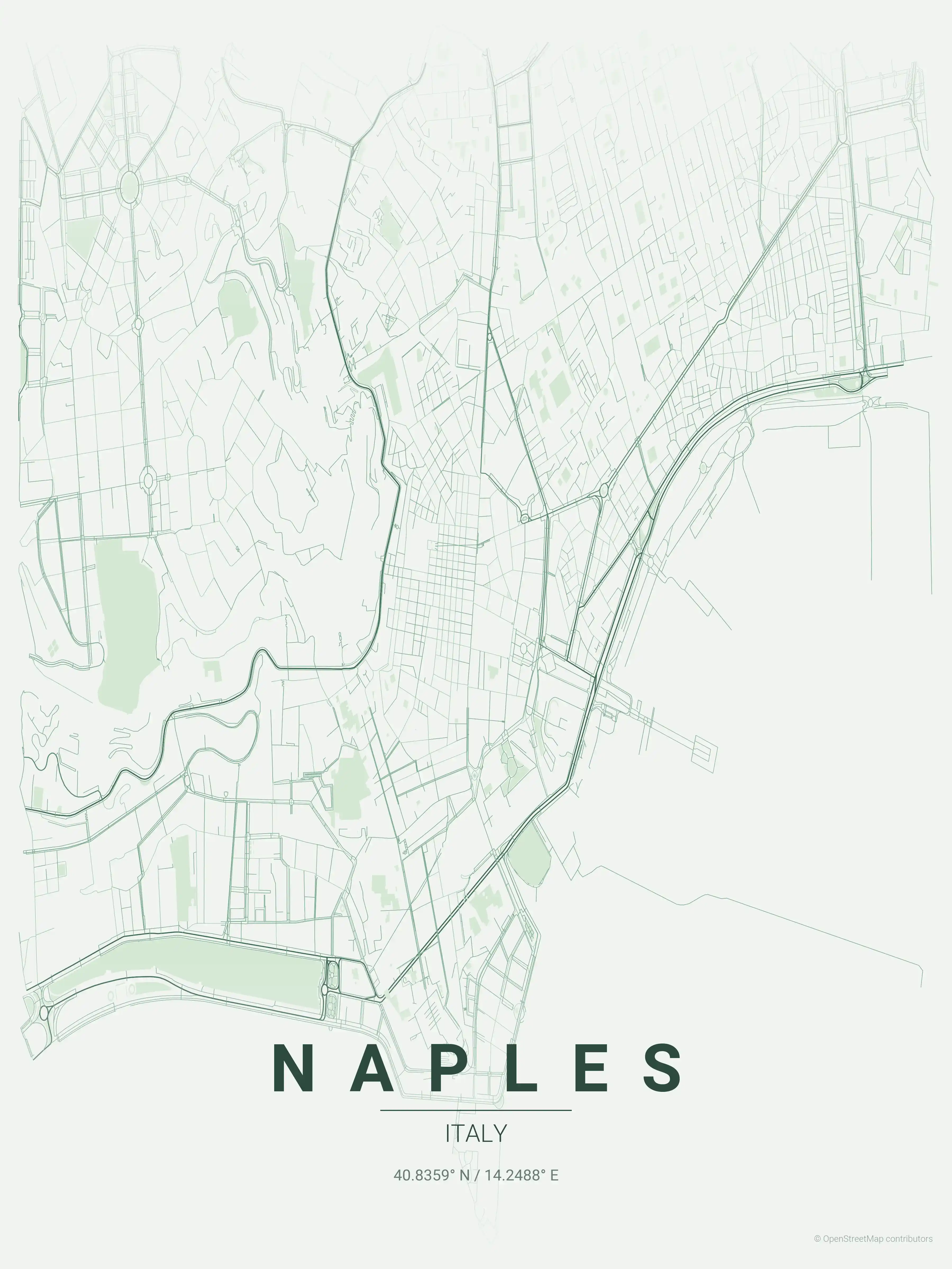 Minimalist forest street map of Naples, Italy - Urban grid art